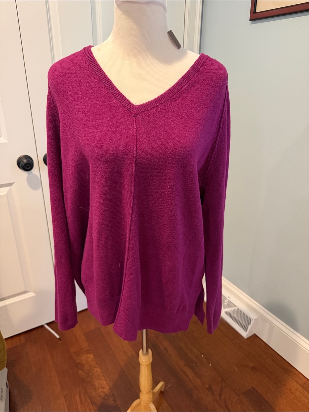 J.Jill NEW “Spicdberry” V-Neck Sweater